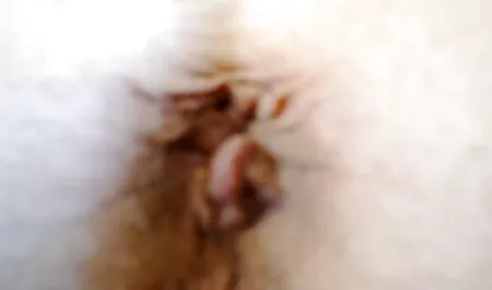 Fehér mostoha szex punci vadászat