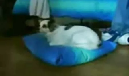 Amabella, élvezd érett sunák az erotikus őrületet.